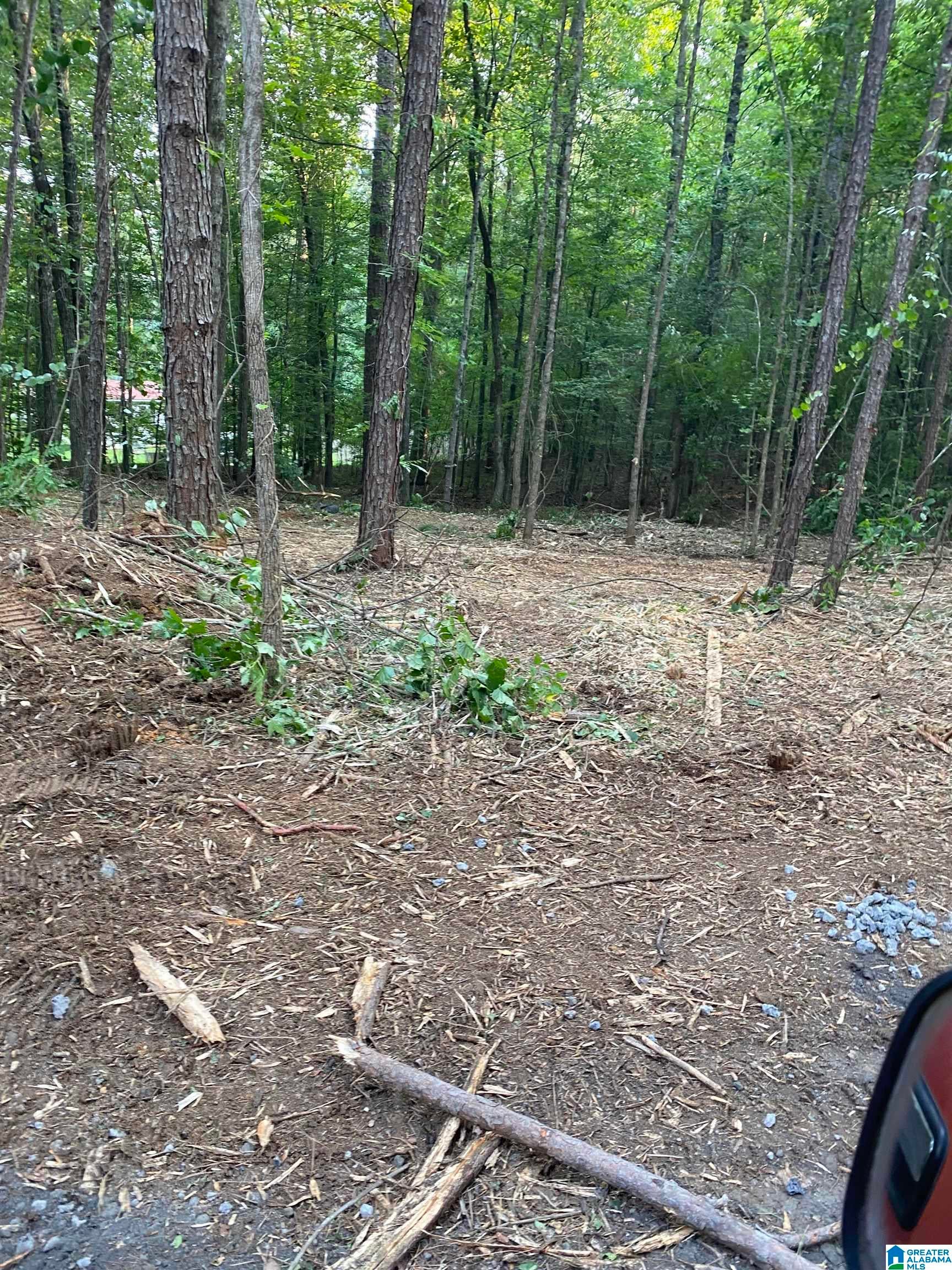 581 Buddy Vines Camp Road Bessemer, AL 35023 - Photo 4 of 4 Gallery Image 4