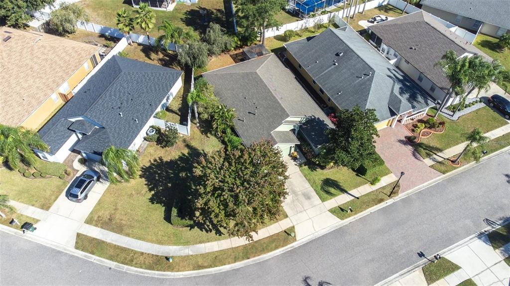 16641 Fairbolt Way Odessa, FL 33556 - Photo 49 of 53