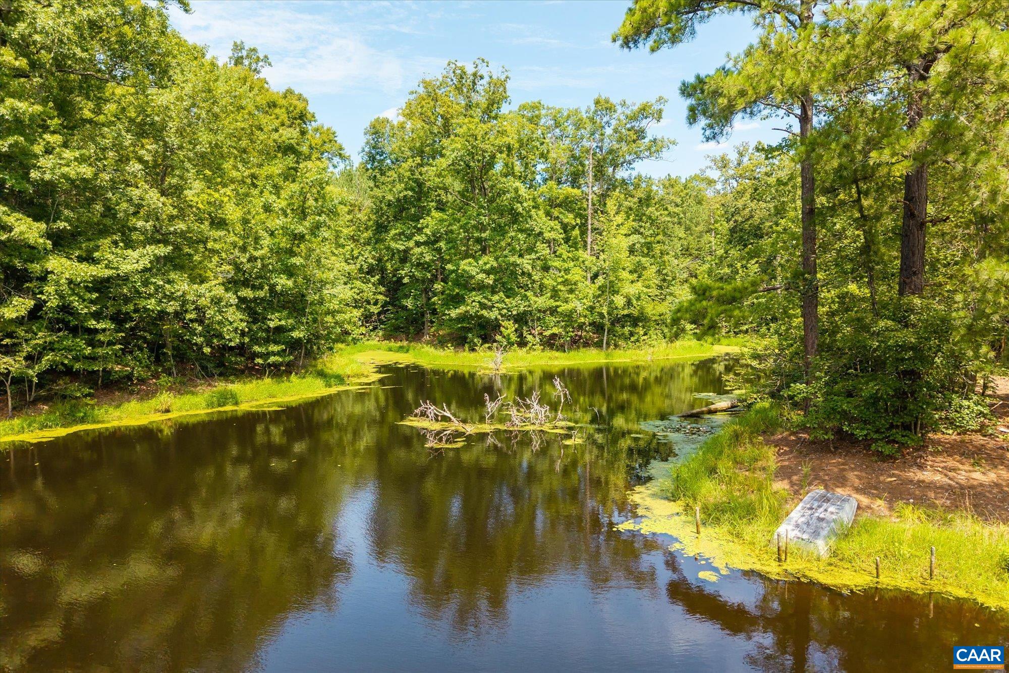 1663 Wilmington Road Palmyra, VA 22963 - Photo 8 of 60 Gallery Image 8