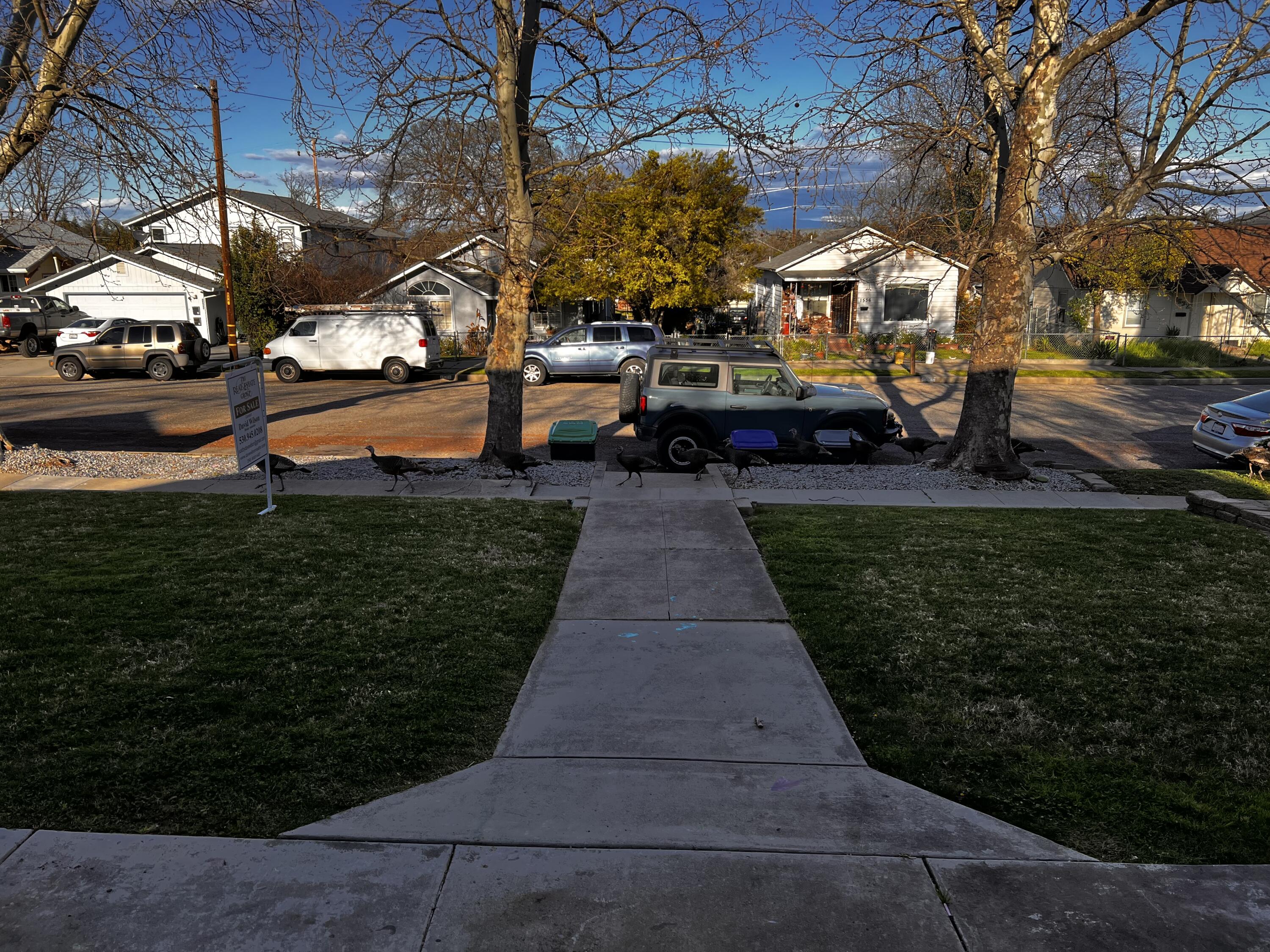 1549 Jackson Street Red Bluff, CA 96080 - Photo 10 of 26 IMG_7002
