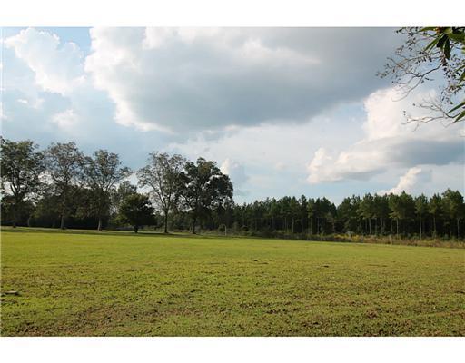 Parker Road Lucedale, MS 39452 - Photo 1 of 17 Primary Photo