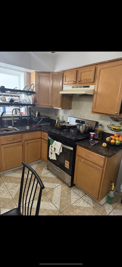 4514 North Springfield Avenue Chicago, IL 60625 - Photo 19 of 35