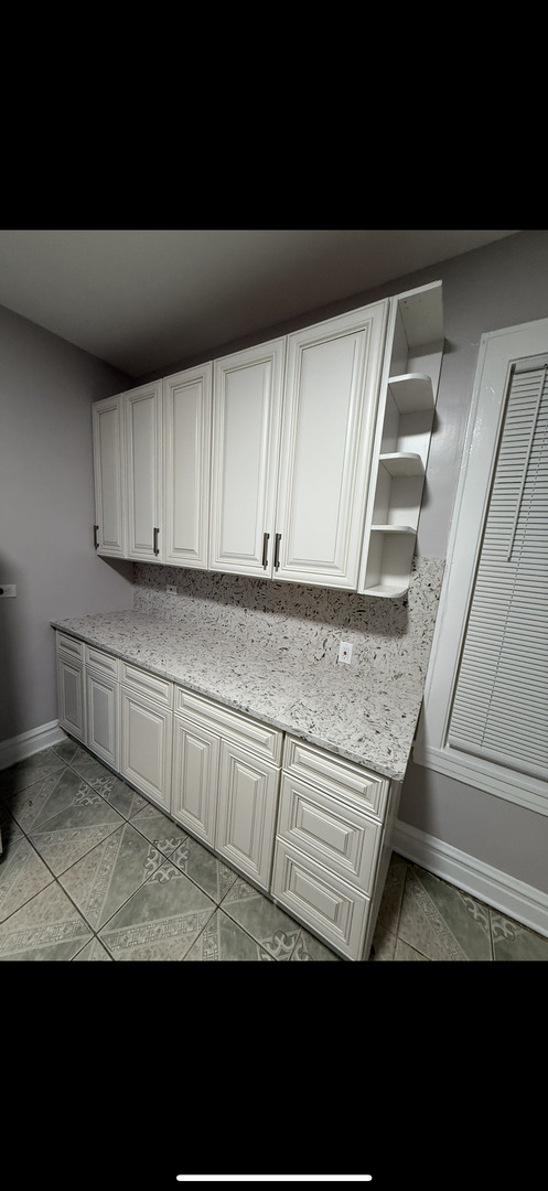 4514 North Springfield Avenue Chicago, IL 60625 - Photo 9 of 35