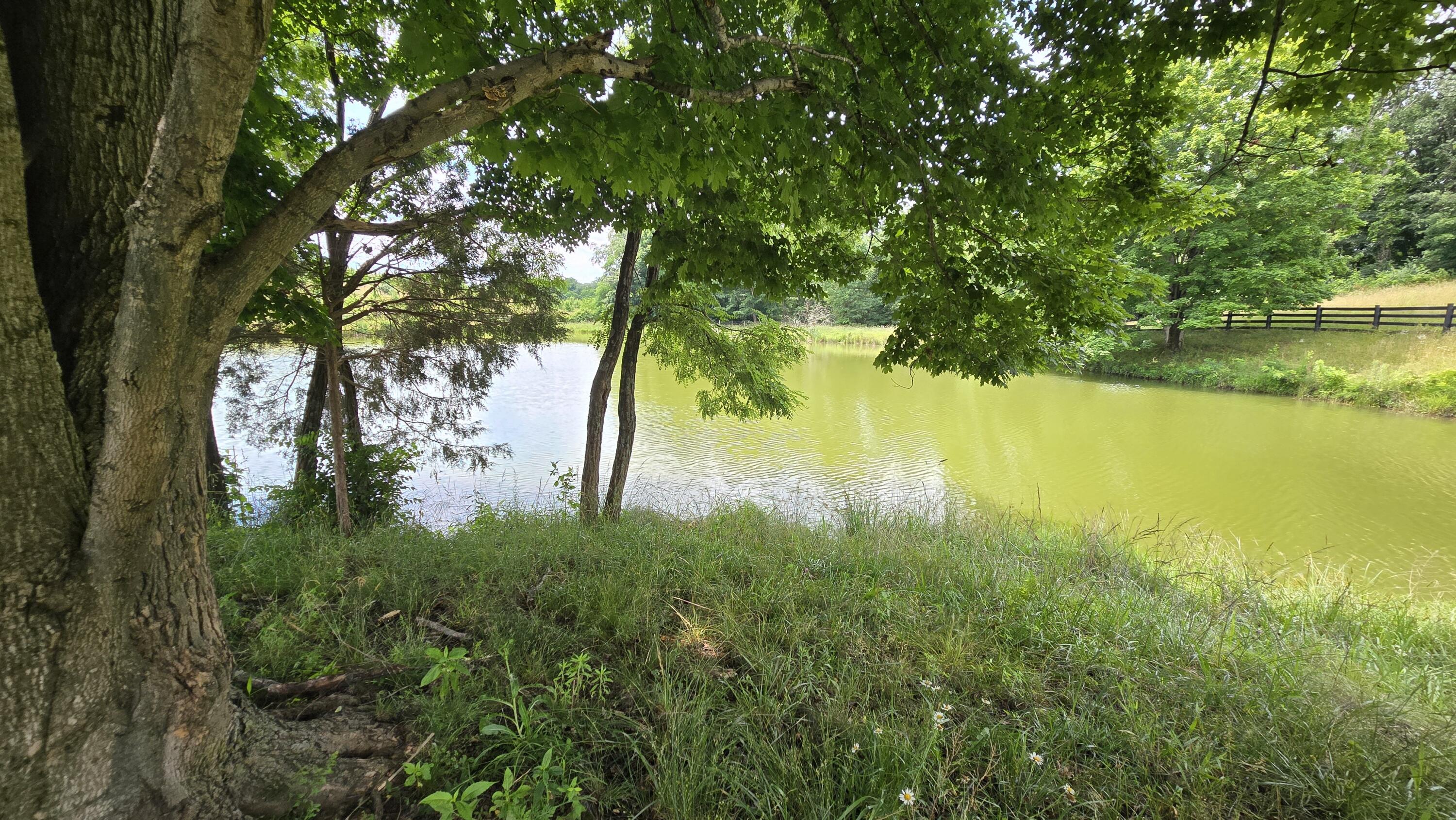 9477 Beechgrove Road Burlington, KY 41005 - Photo 46 of 47 2b (3)