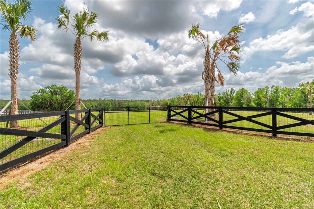 329 Reddick Reddick, FL 32686 - Photo 3 of 26