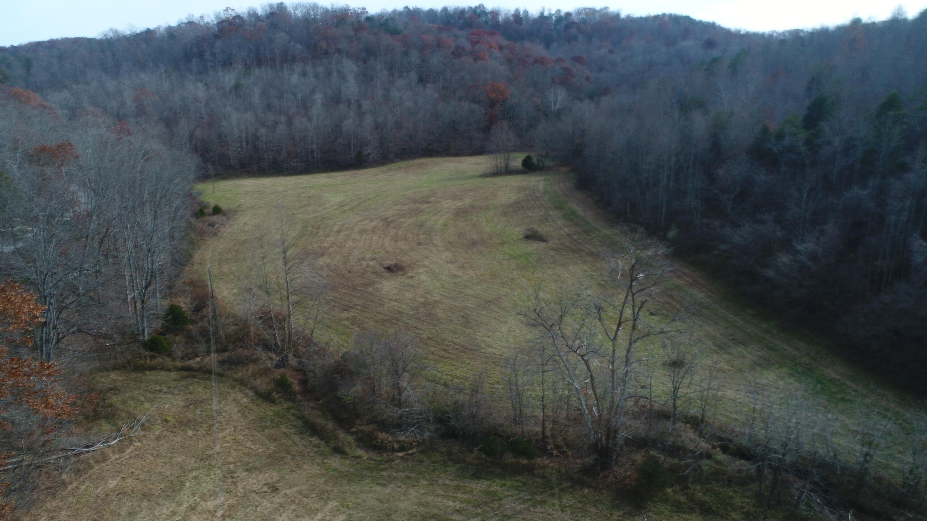 2499 Piney Grove Road Somerset, KY 42501 - Photo 26 of 34 DJI_0014