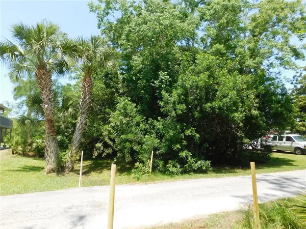 a view of a park with plants