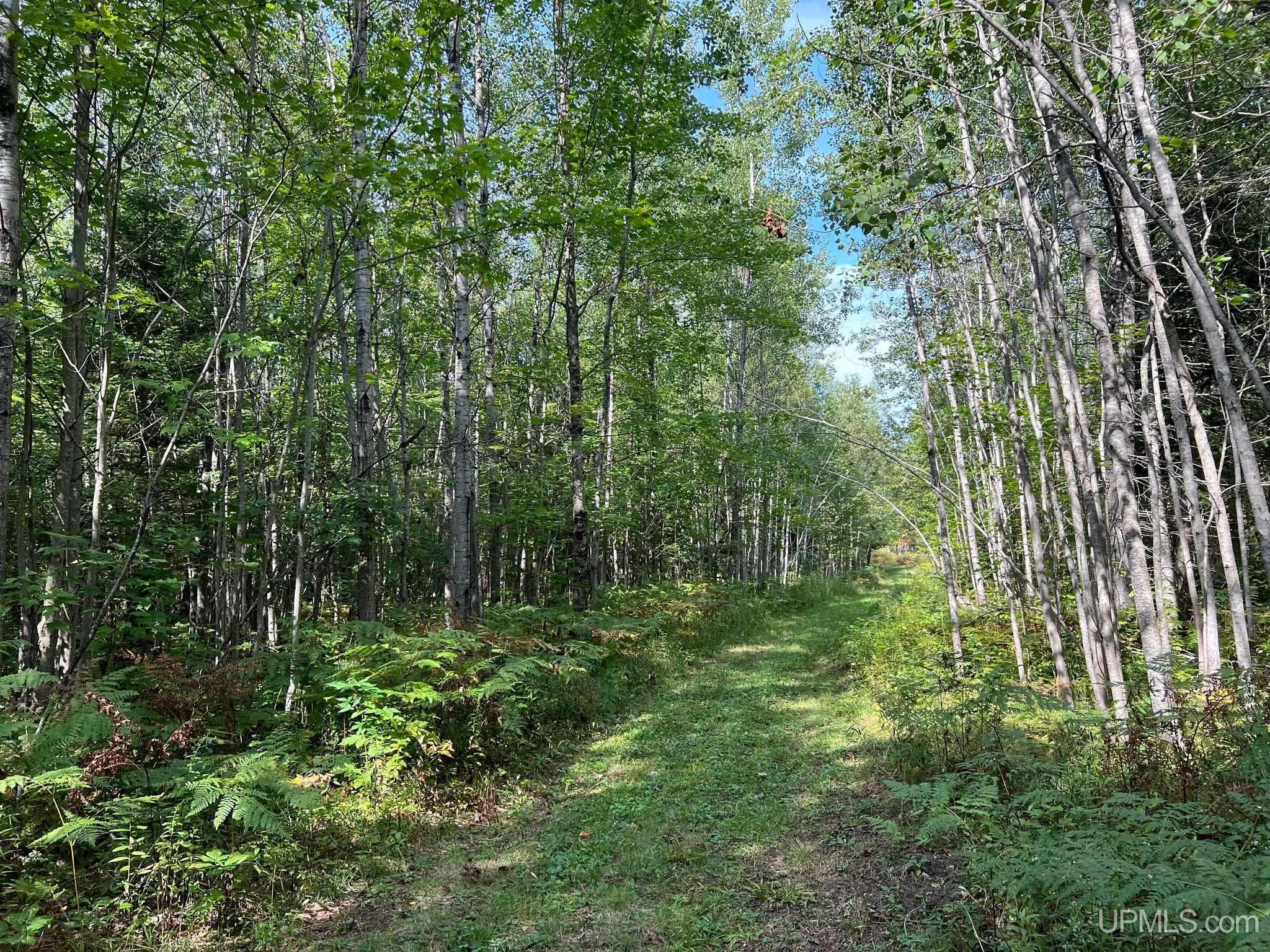 Mcconnel Road Curtis, MI 49820 - Photo 25 of 45 Gallery Image 25