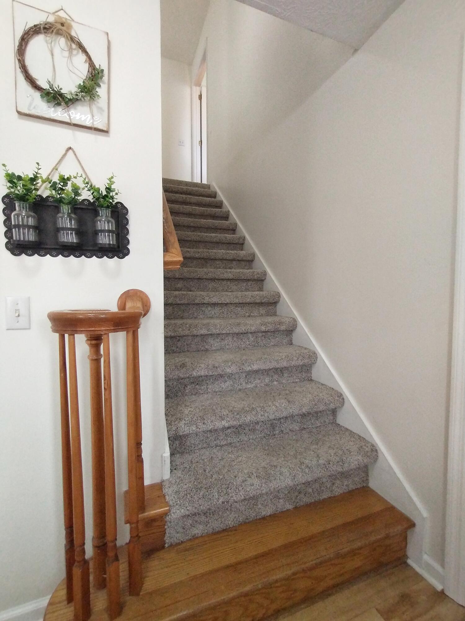 325 Misty Ridge Lane Ringgold, GA 30736 - Photo 24 of 47 IMG_20211111_131546882-01