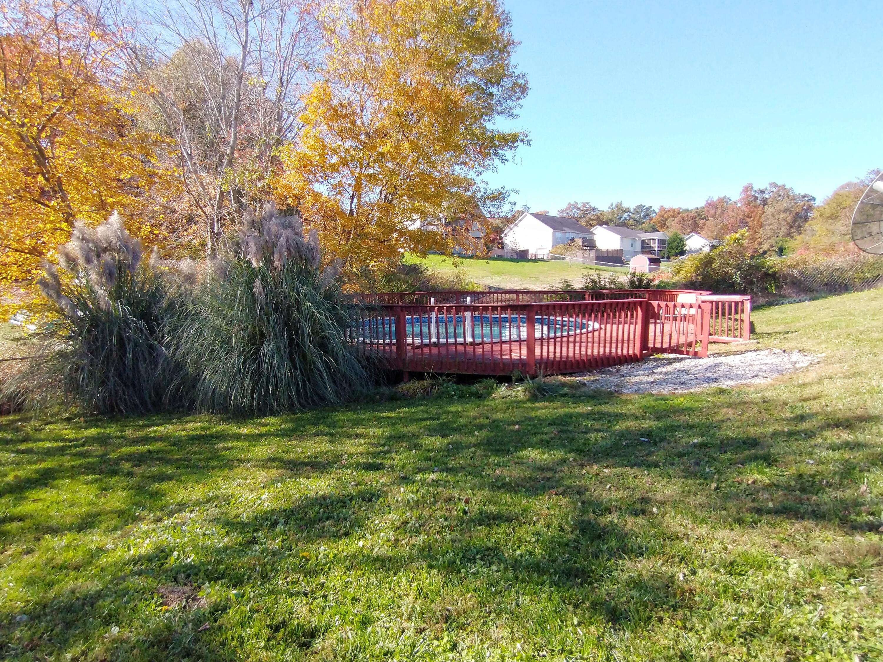 325 Misty Ridge Lane Ringgold, GA 30736 - Photo 42 of 47 IMG_20211109_112413766-01