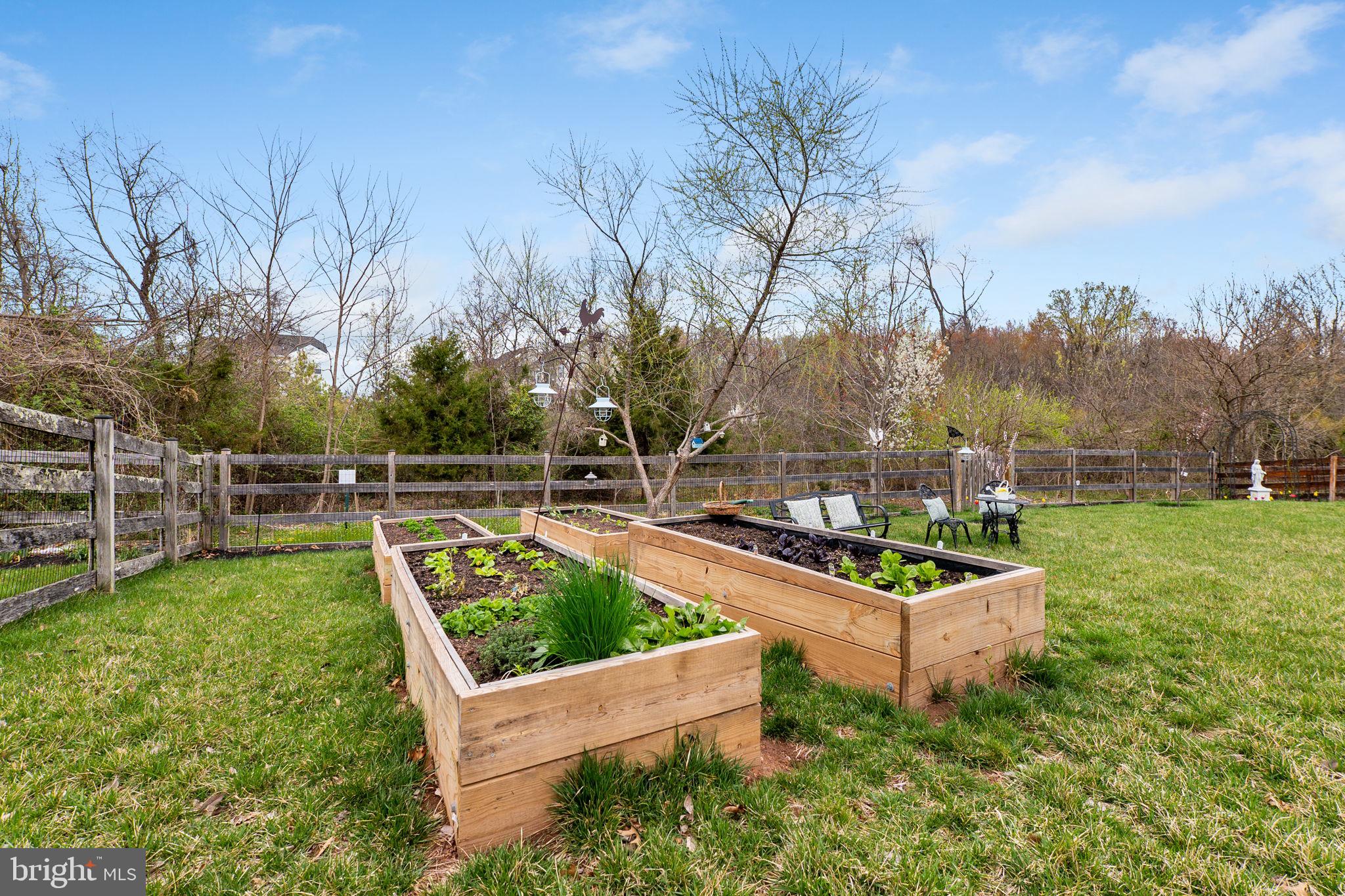 18004 Bliss Drive Poolesville, MD 20837 - Photo 48 of 57 a view of a yard with wooden fence