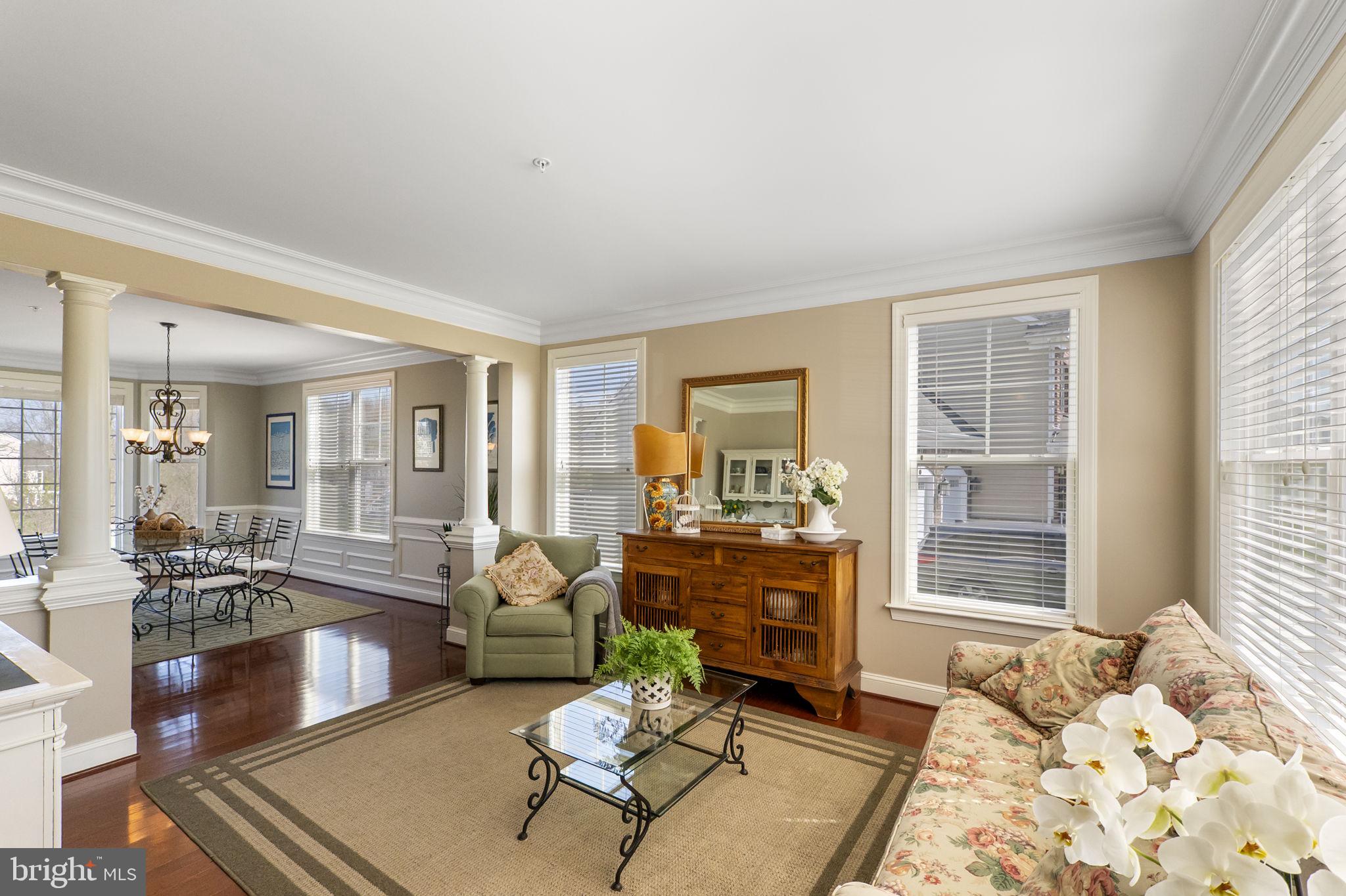 18004 Bliss Drive Poolesville, MD 20837 - Photo 8 of 57 a living room with furniture and a window
