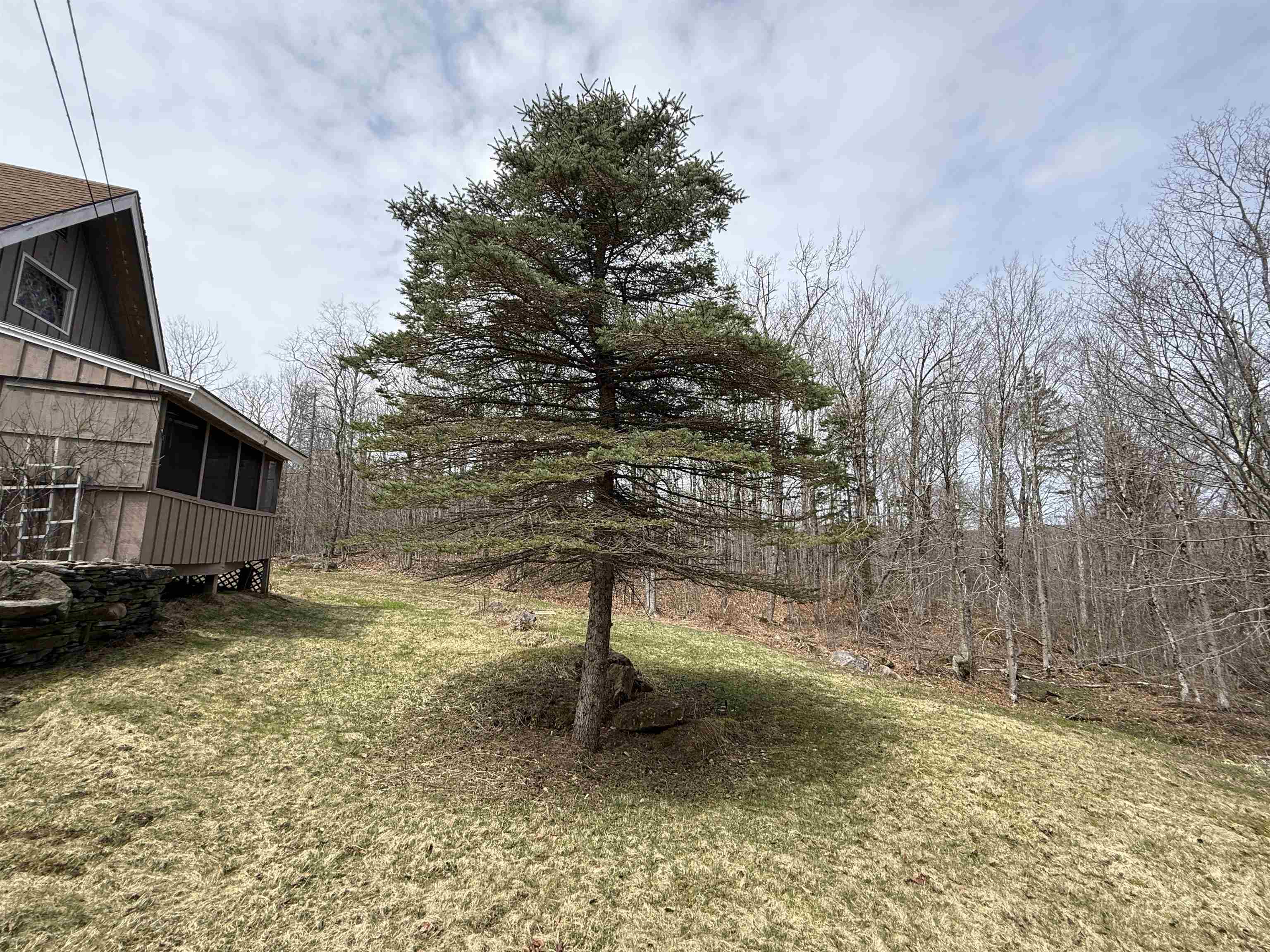364 Oberdorf Road, Unit 153 Readsboro, VT 05350 - Photo 29 of 32