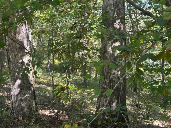 $184,000 | 4276 Taft Highway, Signal Mountain, TN 37377
