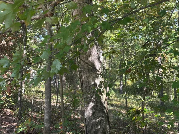 $184,000 | 4276 Taft Highway, Signal Mountain, TN 37377