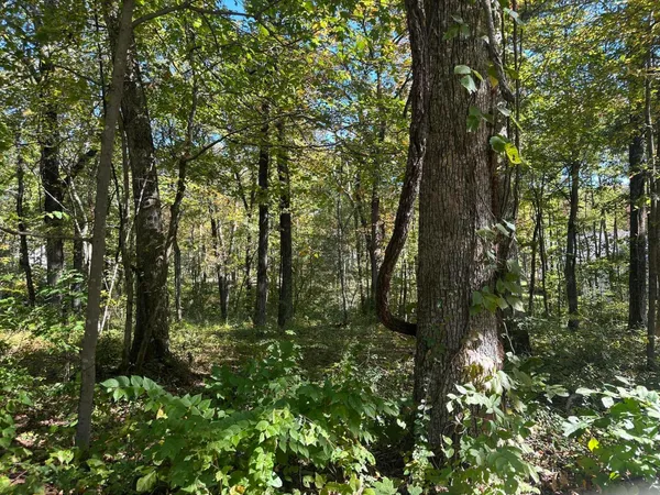 $184,000 | 4276 Taft Highway, Signal Mountain, TN 37377