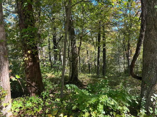 $184,000 | 4276 Taft Highway, Signal Mountain, TN 37377