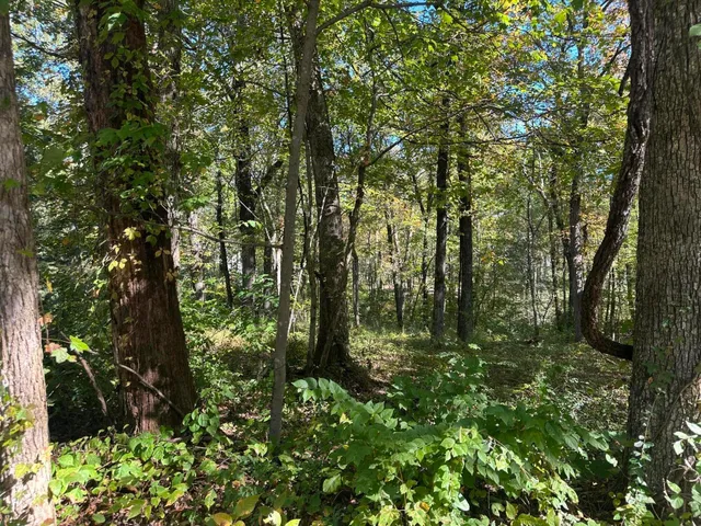 $200,000 | 4276 Taft Highway, Signal Mountain, TN 37377