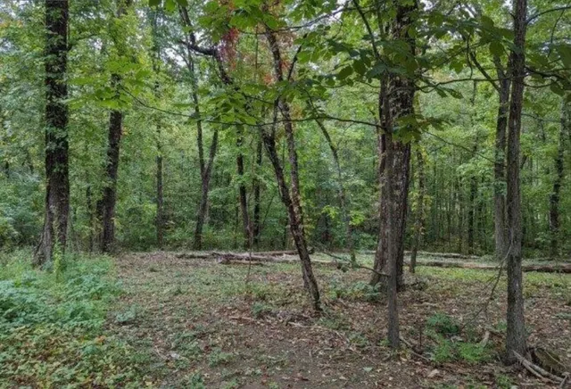 $200,000 | 4276 Taft Highway, Signal Mountain, TN 37377