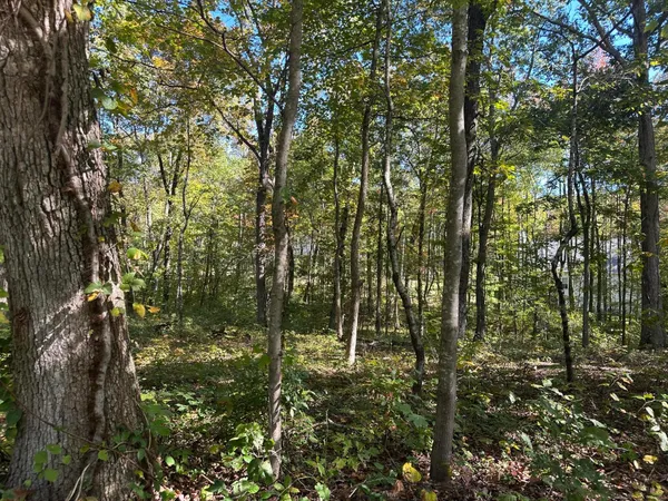 $184,000 | 4276 Taft Highway, Signal Mountain, TN 37377