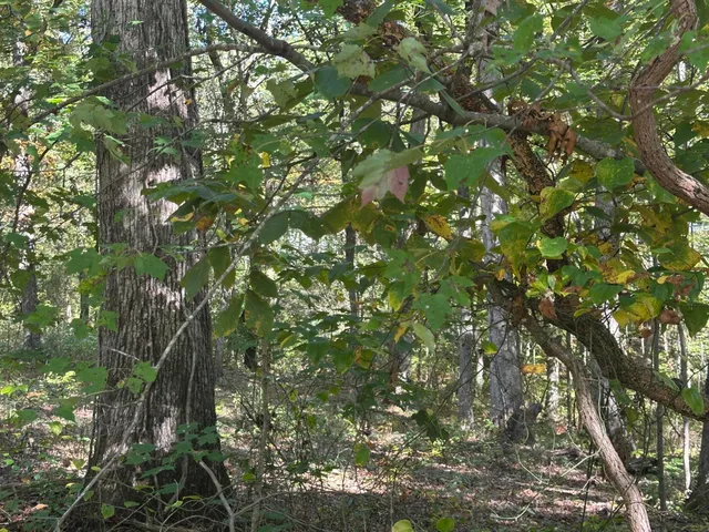 $200,000 | 4276 Taft Highway, Signal Mountain, TN 37377