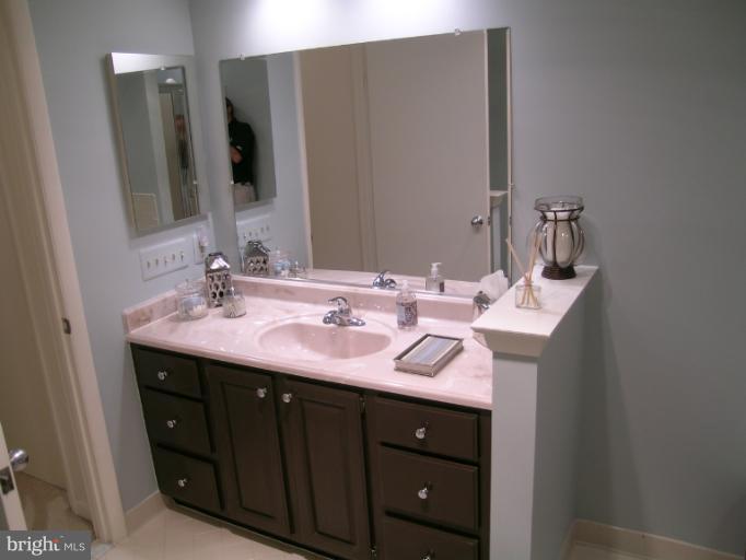 1589 Brass Lantern Way Reston, VA 20194 - Photo 13 of 15 Bath (Master)