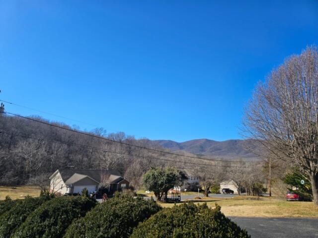 1650 Haymakertown Road Fincastle, VA 24090 - Photo 19 of 21 a view of outdoor space and city view
