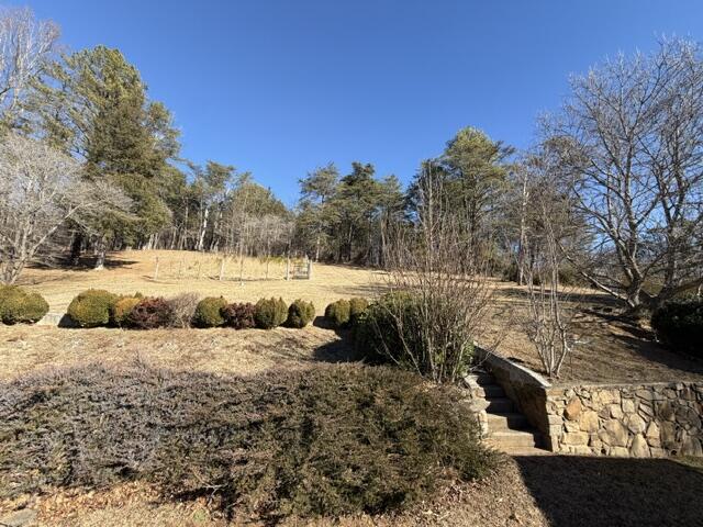 1650 Haymakertown Road Fincastle, VA 24090 - Photo 3 of 21 a view of a road with a yard