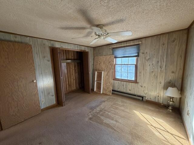 1650 Haymakertown Road Fincastle, VA 24090 - Photo 10 of 21 an empty room with windows and closet