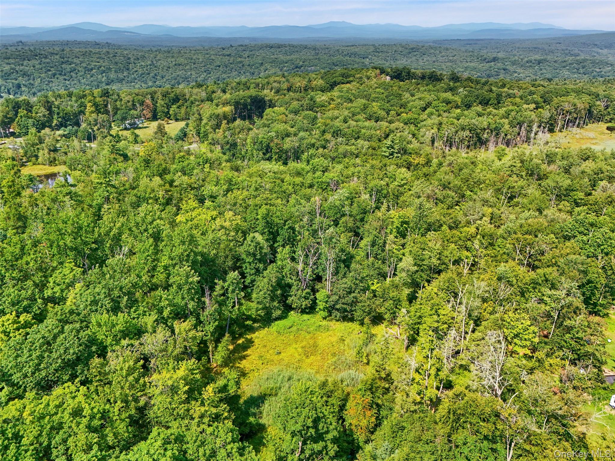Oak Ridge Road Ellenville, NY 12428 - Photo 7 of 23 Gallery Image 7