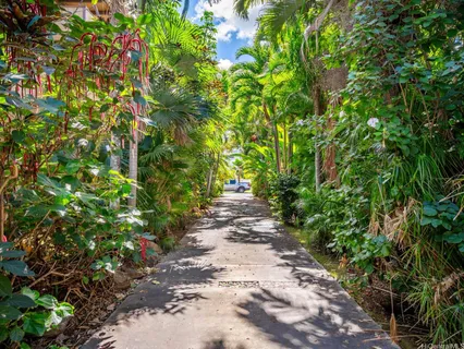 a view of a pathway with plants