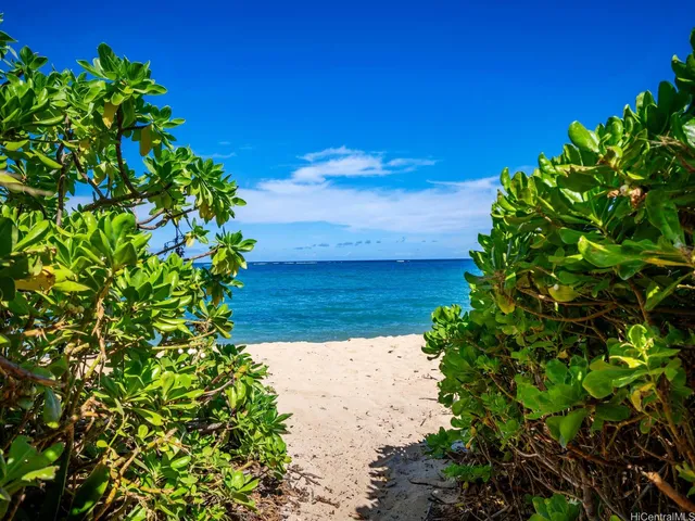 a view of a garden with a flower in a garden