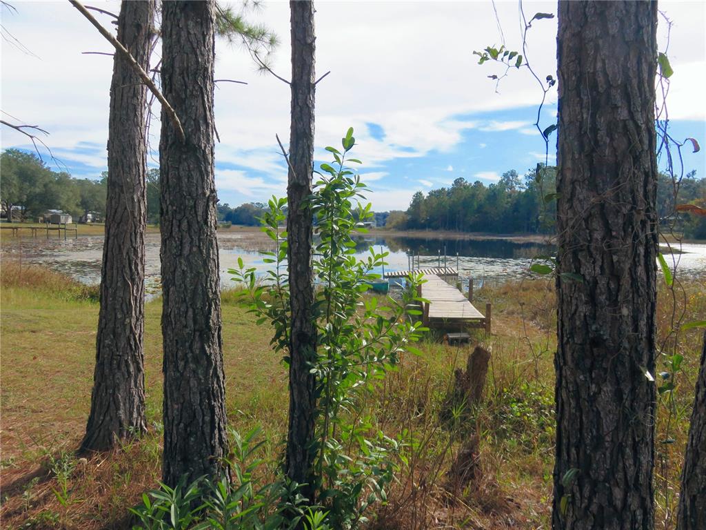 240 Southeast 165th Court Road Silver Springs, FL 34488 - Photo 54 of 54