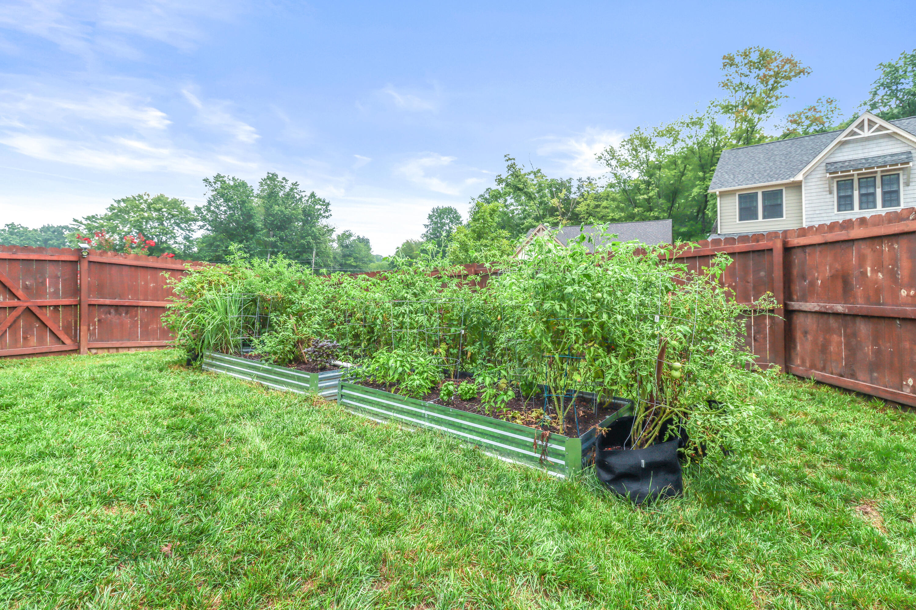 5468 Abby Grace Loop Chattanooga, TN 37415 - Photo 35 of 35 5468 Abby Grace Loop-37 (1)
