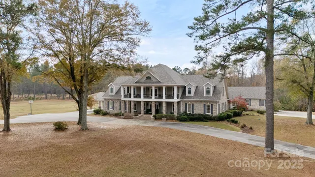 a view of a house with a large tree in front of it