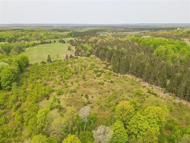 West Road Harrietta, MI 49638 - Photo 6 of 12 Gallery Image 6