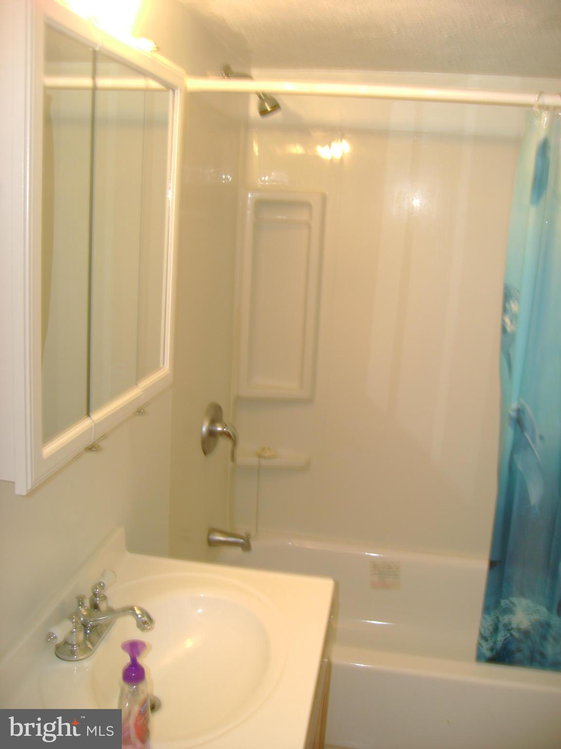 3218 Nerak Road Baltimore, MD 21208 - Photo 12 of 13 Basement Full Bath