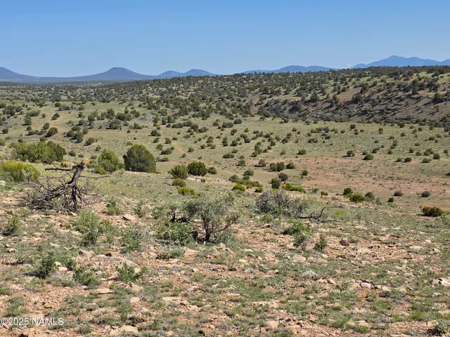 a view of a dirt road with a building in the background