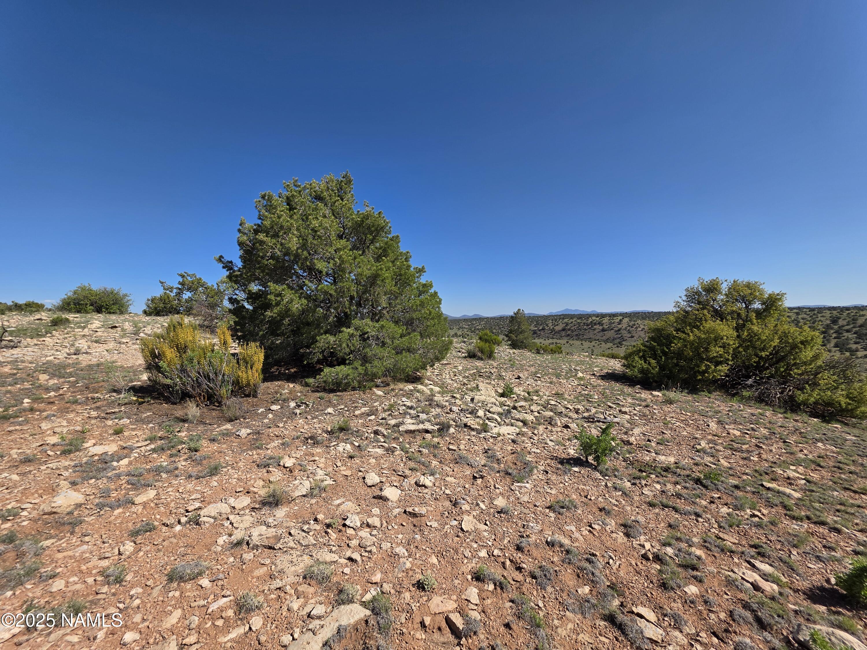 8175 Sharp Knife Road Williams, AZ 86046 - Photo 17 of 35 a view of a dirt road with a building in the background