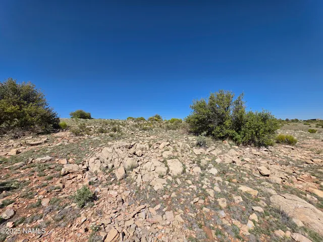 a view of a field with an ocean