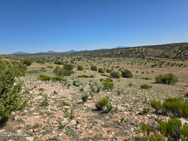 a view of mountains in the background