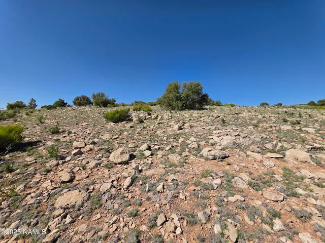 a view of a large garden with lots of bushes