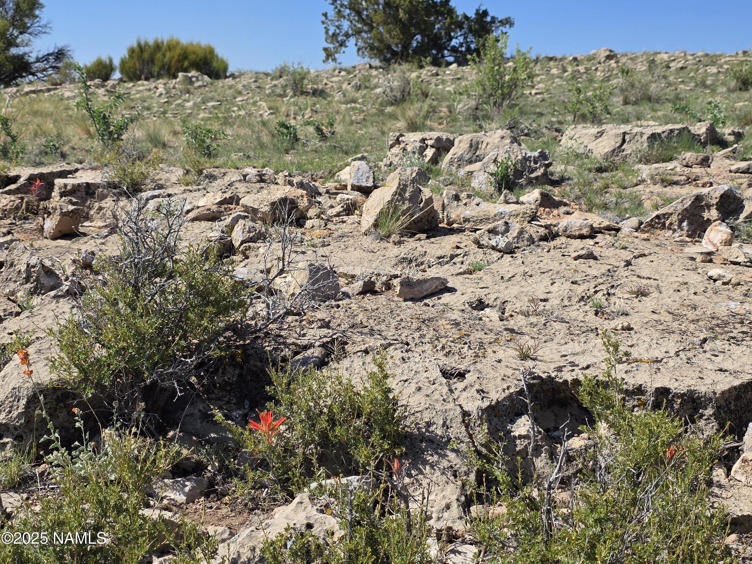 8175 Sharp Knife Road Williams, AZ 86046 - Photo 23 of 35 a view of mountains in the background