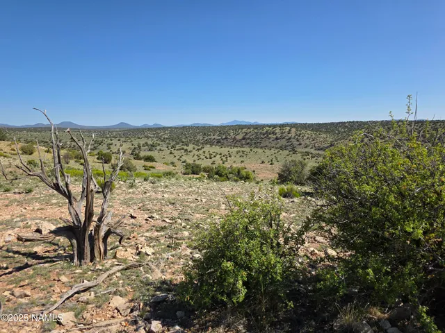 a view of a sky from a yard