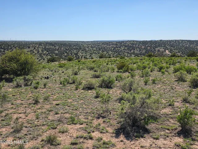 a view of a yard with a tree in the background
