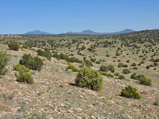 a view of a city with mountains in the background