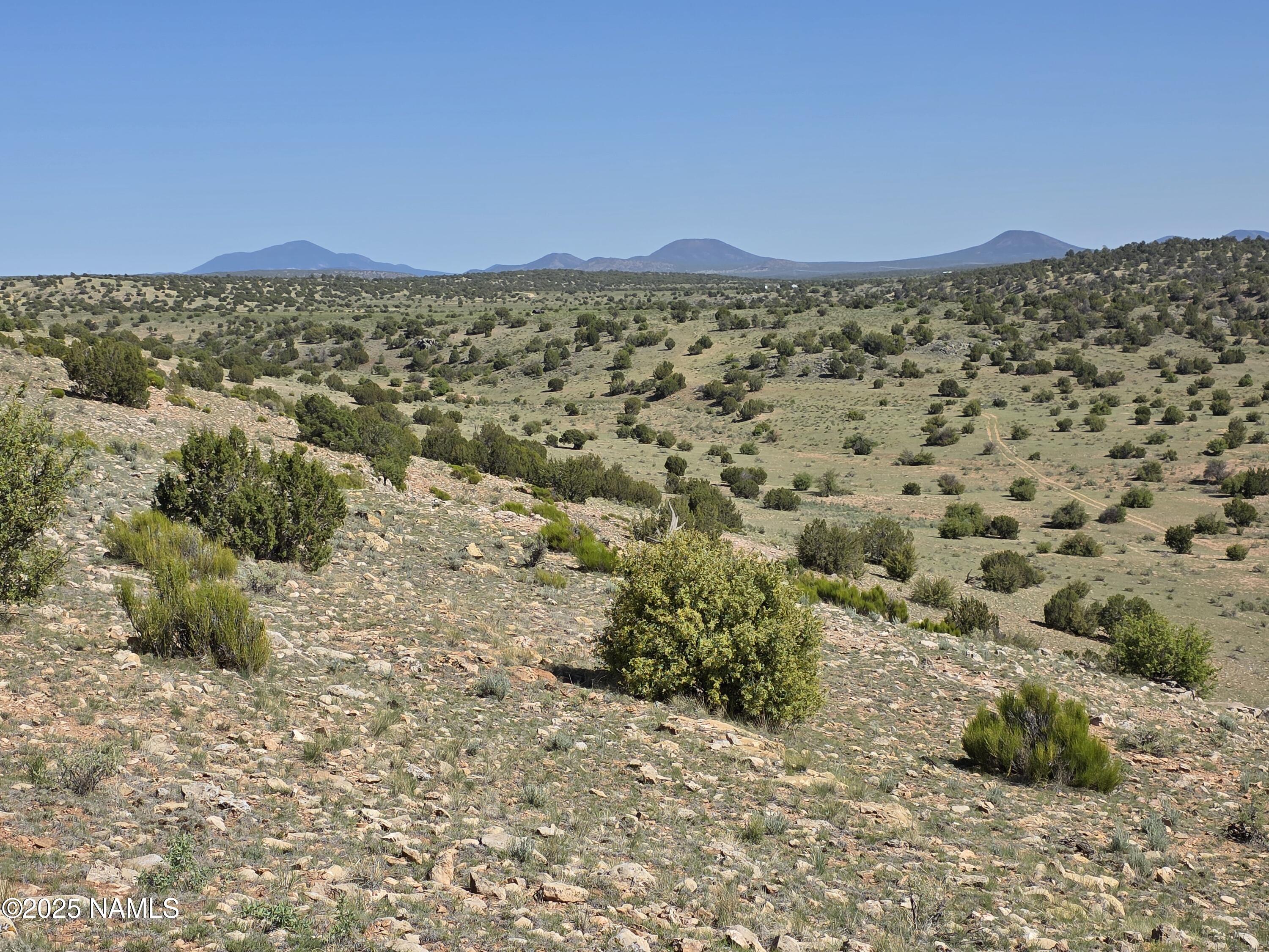8175 Sharp Knife Road Williams, AZ 86046 - Photo 3 of 35 a view of a city with mountains in the background