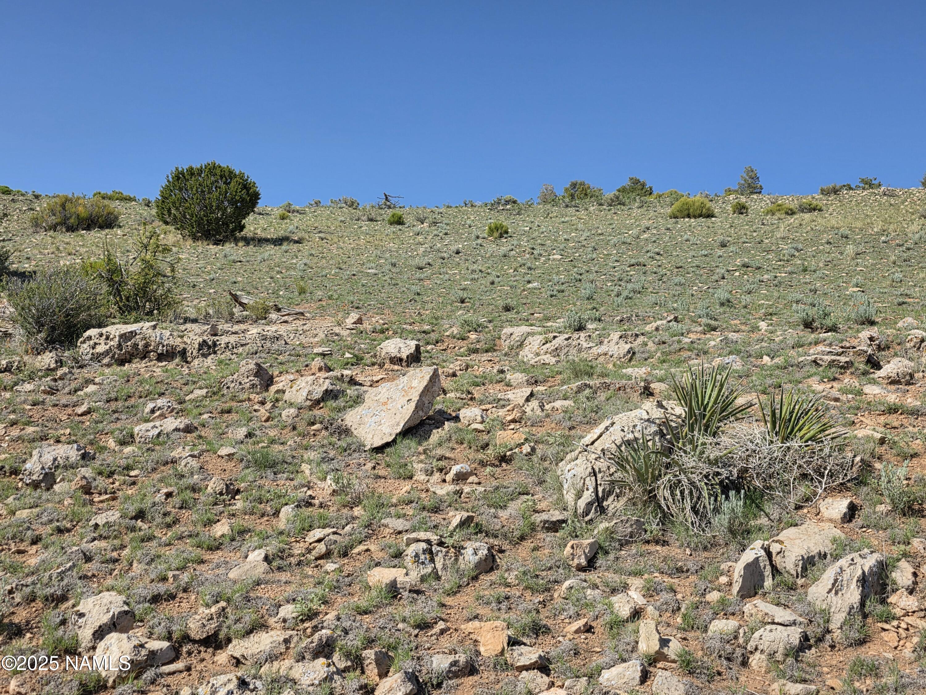 8175 Sharp Knife Road Williams, AZ 86046 - Photo 9 of 35 a view of a field