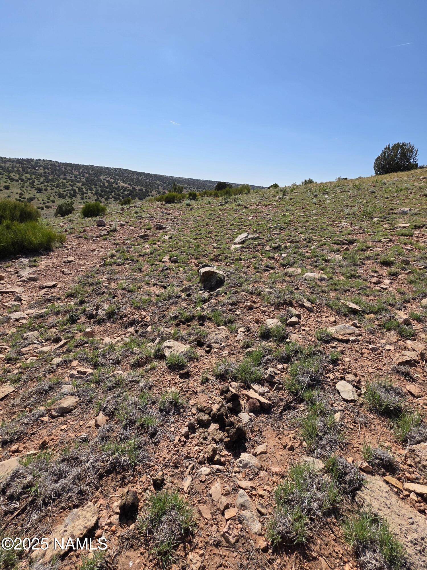 8175 Sharp Knife Road Williams, AZ 86046 - Photo 10 of 35