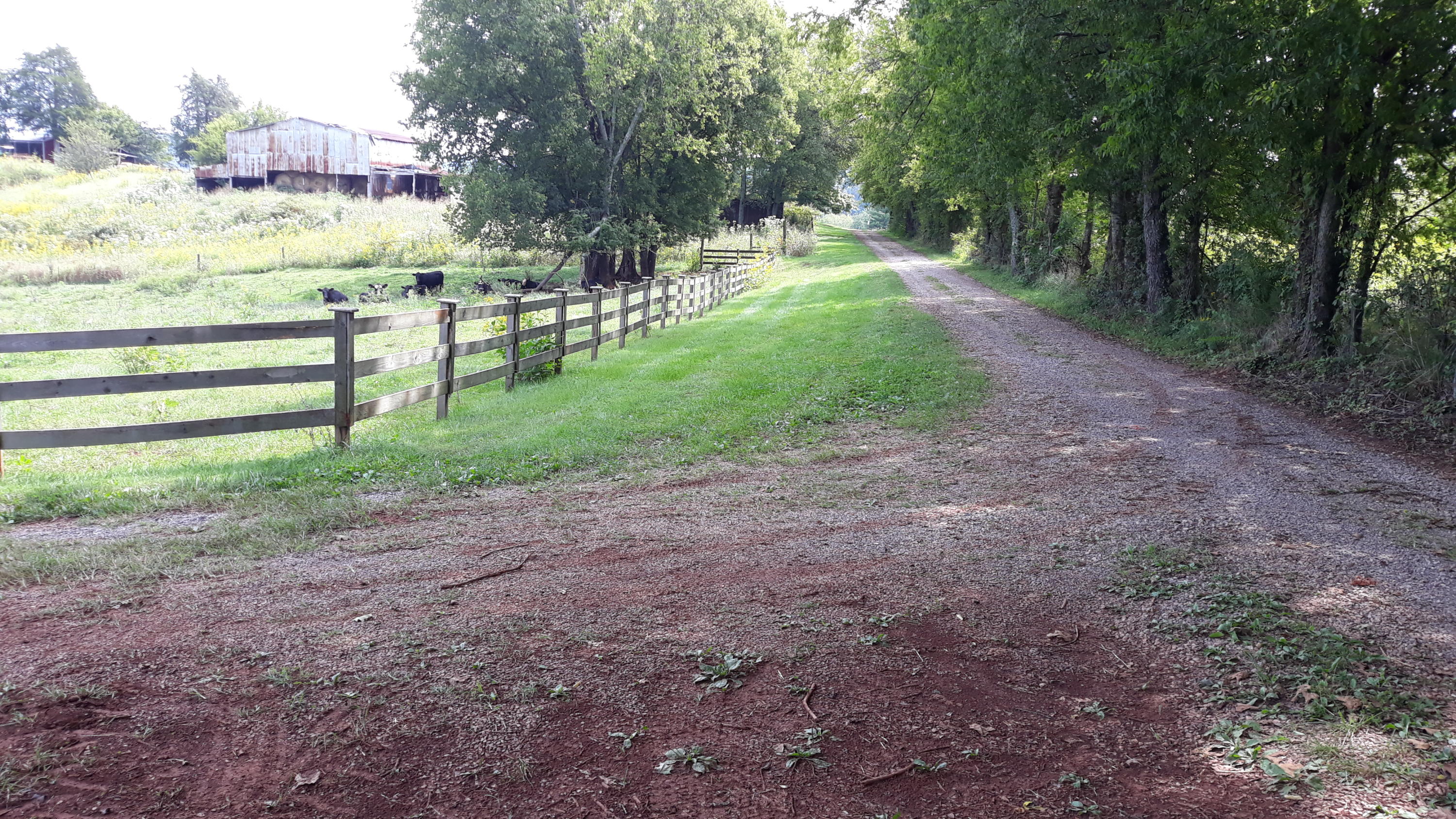 0 Judson Road Strawberry Plains, TN 37871 - Photo 2 of 34 20200916_132622